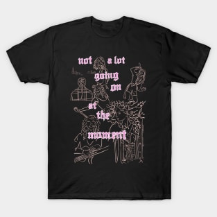 not a lot going on at the moment T-Shirt